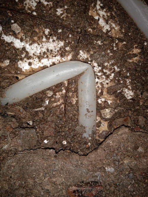 友谊堵点精准查找